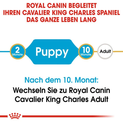 Royal Canin Cavalier King Charles Puppy - Hundefutter Royal Canin Cavalier King Charles Puppy - Hundefutter -Heimtierbedarf royal canin cavalier king charles puppy hondenvoer 137905 0500 none