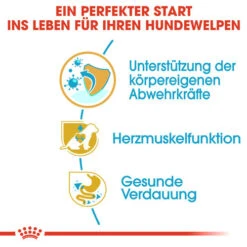 Royal Canin Cavalier King Charles Puppy - Hundefutter 4 Royal Canin Cavalier King Charles Puppy - Hundefutter -Heimtierbedarf royal canin cavalier king charles puppy hondenvoer 137923 0500 none