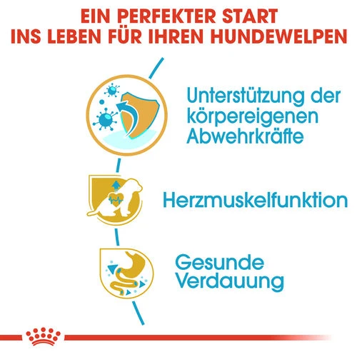 Royal Canin Cavalier King Charles Puppy - Hundefutter Royal Canin Cavalier King Charles Puppy - Hundefutter -Heimtierbedarf royal canin cavalier king charles puppy hondenvoer 137923 0500 none