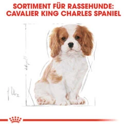 Royal Canin Cavalier King Charles Puppy - Hundefutter 6 Royal Canin Cavalier King Charles Puppy - Hundefutter -Heimtierbedarf royal canin cavalier king charles puppy hondenvoer 137932 0500 none