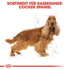 Royal Canin Cocker Adult - Hundefutter -Heimtierbedarf royal canin cocker adult hondenvoer 138145 0500 none