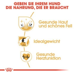 Royal Canin Cocker Adult - Hundefutter -Heimtierbedarf royal canin cocker adult hondenvoer 138163 0500 none