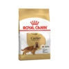 Royal Canin Cocker Adult - Hundefutter 2 Royal Canin Cocker Adult - Hundefutter -Heimtierbedarf royal canin cocker adult hondenvoer 188079 0500 none