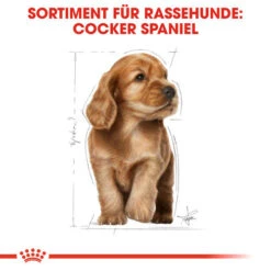 Royal Canin Cocker Puppy - Hundefutter -Heimtierbedarf royal canin cocker puppy hondenvoer 138226 0500 none