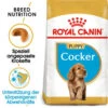 Royal Canin Cocker Puppy - Hundefutter -Heimtierbedarf royal canin cocker puppy hondenvoer 140501 0500 none