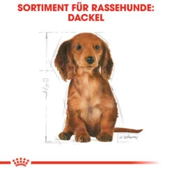 Royal Canin Dachshund Puppy - Hundefutter -Heimtierbedarf royal canin dachshund puppy hondenvoer 138346 0500 none