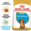 Royal Canin Dachshund Puppy - Hundefutter -Heimtierbedarf royal canin dachshund puppy hondenvoer 140516 0500 none
