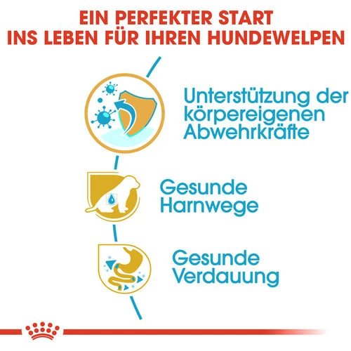 Royal Canin Dalmatian Puppy - Hundefutter Royal Canin Dalmatian Puppy - Hundefutter -Heimtierbedarf royal canin dalmatian puppy hondenvoer 138580 0500 none