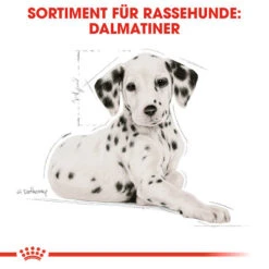 Royal Canin Dalmatian Puppy - Hundefutter 5 Royal Canin Dalmatian Puppy - Hundefutter -Heimtierbedarf royal canin dalmatian puppy hondenvoer 138589 0500 none