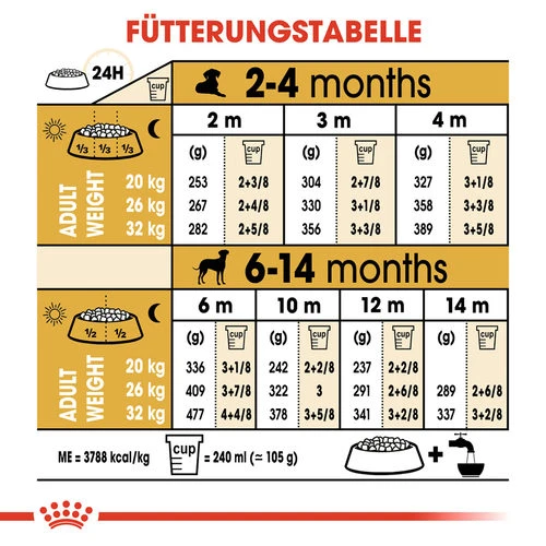 Royal Canin Dalmatian Puppy - Hundefutter Royal Canin Dalmatian Puppy - Hundefutter -Heimtierbedarf royal canin dalmatian puppy hondenvoer 138598 0500 none
