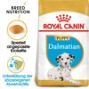 Royal Canin Dalmatian Puppy - Hundefutter -Heimtierbedarf royal canin dalmatian puppy hondenvoer 140534 0500 none