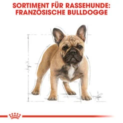 Royal Canin French Bulldog Adult - Hundefutter -Heimtierbedarf royal canin french bulldog adult hondenvoer 138622 0500 none