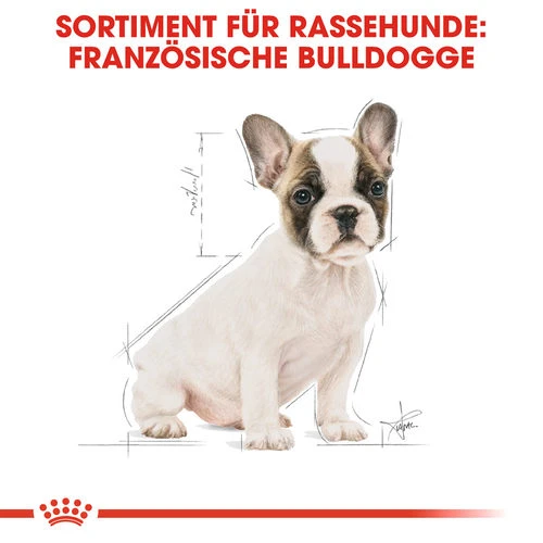 Royal Canin French Bulldog Puppy - Hundefutter Royal Canin French Bulldog Puppy - Hundefutter -Heimtierbedarf royal canin french bulldog puppy hondenvoer 138718 0500 none