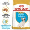 Royal Canin French Bulldog Puppy - Hundefutter -Heimtierbedarf royal canin french bulldog puppy hondenvoer 140549 0500 none