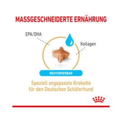 Royal Canin German Shepherd Adult 5+ -Heimtierbedarf royal canin german shepherd adult 5 165106 0500 none