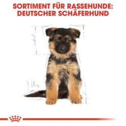 Royal Canin German Shepherd Puppy - Hundefutter -Heimtierbedarf royal canin german shepherd puppy hondenvoer 138838 0500 none