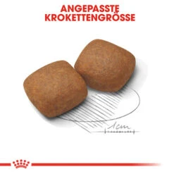 Royal Canin Giant Junior - Hundefutter -Heimtierbedarf royal canin giant junior 118242 0500 none