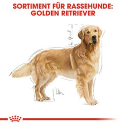 Royal Canin Golden Retriever Adult - Hundefutter -Heimtierbedarf royal canin golden retriever adult hondenvoer 138871 0500 none