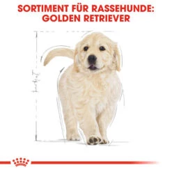 Royal Canin Golden Retriever Puppy - Hundefutter -Heimtierbedarf royal canin golden retriever puppy hondenvoer 138958 0500 none