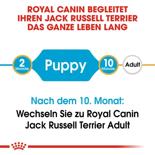 Royal Canin Jack Russell Terrier Puppy - Hundefutter Royal Canin Jack Russell Terrier Puppy - Hundefutter -Heimtierbedarf royal canin jack russell terrier puppy hondenvoer 139291 0500 none