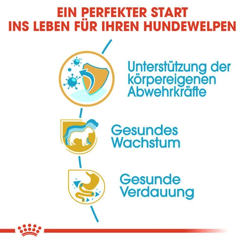 Royal Canin Jack Russell Terrier Puppy - Hundefutter Royal Canin Jack Russell Terrier Puppy - Hundefutter -Heimtierbedarf royal canin jack russell terrier puppy hondenvoer 139309 0500 none