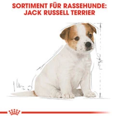 Royal Canin Jack Russell Terrier Puppy - Hundefutter 5 Royal Canin Jack Russell Terrier Puppy - Hundefutter -Heimtierbedarf royal canin jack russell terrier puppy hondenvoer 139318 0500 none