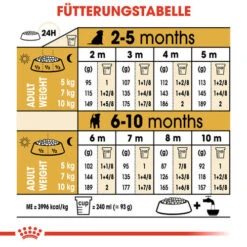Royal Canin Jack Russell Terrier Puppy - Hundefutter 8 Royal Canin Jack Russell Terrier Puppy - Hundefutter -Heimtierbedarf royal canin jack russell terrier puppy hondenvoer 139327 0500 none