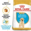 Royal Canin Labrador Retriever Puppy - Hundefutter -Heimtierbedarf royal canin labrador retriever puppy hondenvoer 140618 0500 none