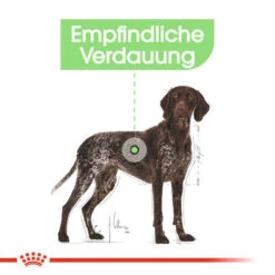 Royal Canin Maxi Digestive Care - Hundefutter -Heimtierbedarf royal canin maxi digestive care hondenvoer 132482 0500 none