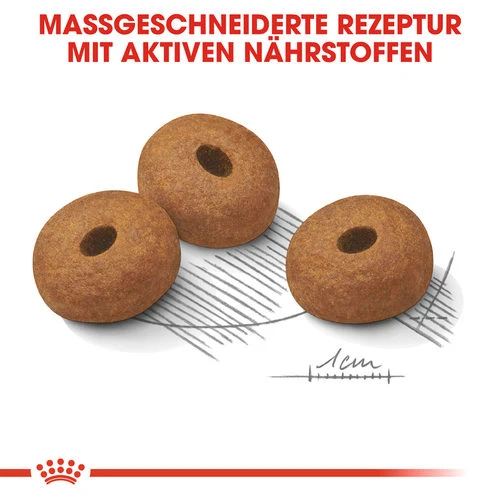 Royal Canin Maxi Light Weight Care - Hundefutter Royal Canin Maxi Light Weight Care - Hundefutter -Heimtierbedarf