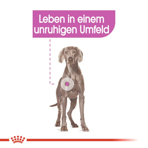 Royal Canin Maxi Relax Care - Hundefutter Royal Canin Maxi Relax Care - Hundefutter -Heimtierbedarf