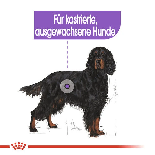 Royal Canin Maxi Sterilised - Hundefutter Royal Canin Maxi Sterilised - Hundefutter -Heimtierbedarf
