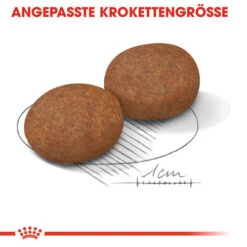 Royal Canin Medium Adult 7+ - Hundefutter -Heimtierbedarf royal canin medium adult 7 hondenvoer 128495 0500 none