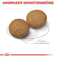 Royal Canin Medium Adult - Hundefutter 6 Royal Canin Medium Adult - Hundefutter -Heimtierbedarf royal canin medium adult hondenvoer 128546 0500 none