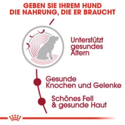 Royal Canin Medium Ageing 10+ - Hundefutter -Heimtierbedarf royal canin medium ageing 10 hondenvoer 128816 0500 none