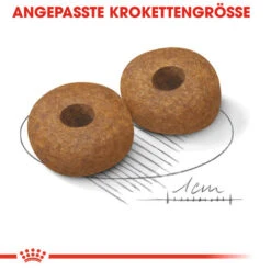 Royal Canin Medium Ageing 10+ - Hundefutter -Heimtierbedarf royal canin medium ageing 10 hondenvoer 128822 0500 none