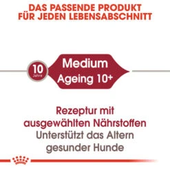 Royal Canin Medium Ageing 10+ Wet - Hundefutter 6 Royal Canin Medium Ageing 10+ Wet - Hundefutter -Heimtierbedarf royal canin medium ageing 10 wet hondenvoer 129191 0500 none