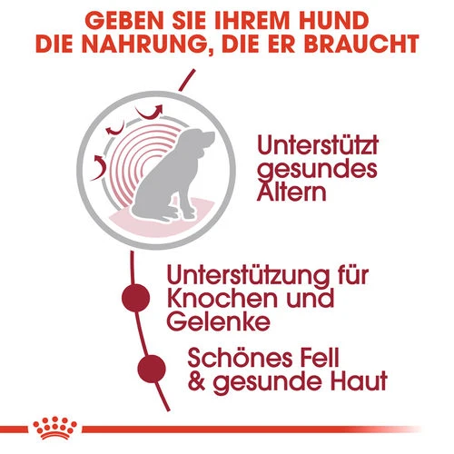 Royal Canin Medium Ageing 10+ Wet - Hundefutter Royal Canin Medium Ageing 10+ Wet - Hundefutter -Heimtierbedarf royal canin medium ageing 10 wet hondenvoer 129197 0500 none