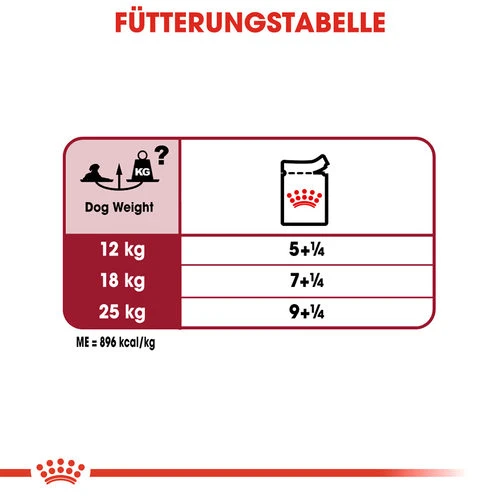 Royal Canin Medium Ageing 10+ Wet - Hundefutter Royal Canin Medium Ageing 10+ Wet - Hundefutter -Heimtierbedarf royal canin medium ageing 10 wet hondenvoer 129221 0500 none