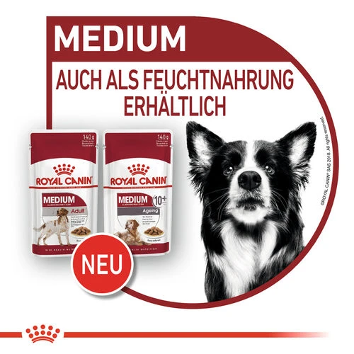 Royal Canin Medium Ageing 10+ Wet - Hundefutter Royal Canin Medium Ageing 10+ Wet - Hundefutter -Heimtierbedarf royal canin medium ageing 10 wet hondenvoer 129239 0500 none