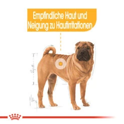 Royal Canin Medium Dermacomfort - Hundefutter -Heimtierbedarf royal canin medium dermacomfort hondenvoer 143273 0500 none