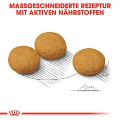 Royal Canin Medium Dermacomfort - Hundefutter -Heimtierbedarf royal canin medium dermacomfort hondenvoer 143294 0500 none
