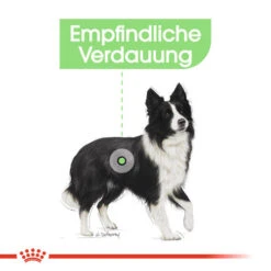 Royal Canin Medium Digestive Care - Hundefutter -Heimtierbedarf royal canin medium digestive care hondenvoer 132788 0500 none