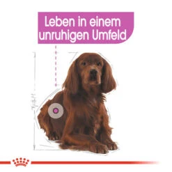 Royal Canin Medium Relax Care - Hundefutter -Heimtierbedarf royal canin medium relax care hondenvoer 131183 0500 none