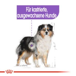 Royal Canin Medium Sterilised - Hundefutter -Heimtierbedarf royal canin medium sterilised hondenvoer 132911 0500 none