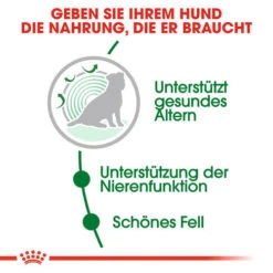 Royal Canin Mini Ageing 12+ - Hundefutter -Heimtierbedarf royal canin mini ageing 12 hondenvoer 128927 0500 none