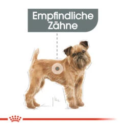 Royal Canin Mini Dental Care - Hundefutter -Heimtierbedarf royal canin mini dental care hondenvoer 130985 0500 none