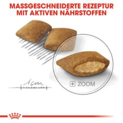 Royal Canin Mini Exigent - Hundefutter -Heimtierbedarf royal canin mini exigent hondenvoer 133178 0500 none