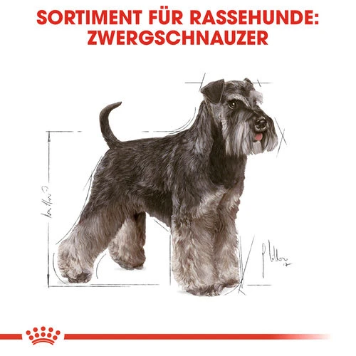 Royal Canin Mini Schnauzer Adult - Hundefutter Royal Canin Mini Schnauzer Adult - Hundefutter -Heimtierbedarf royal canin mini schnauzer adult hondenvoer 140074 0500 none