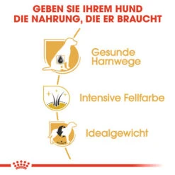 Royal Canin Mini Schnauzer Adult - Hundefutter 3 Royal Canin Mini Schnauzer Adult - Hundefutter -Heimtierbedarf royal canin mini schnauzer adult hondenvoer 140092 0500 none